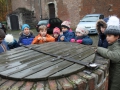 IMG_3971 (Medium)