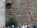 IMG_3976 (Medium)