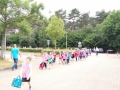 IMG_20170627_085404 (Small)