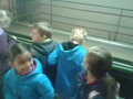 IMG-20141104-WA0003